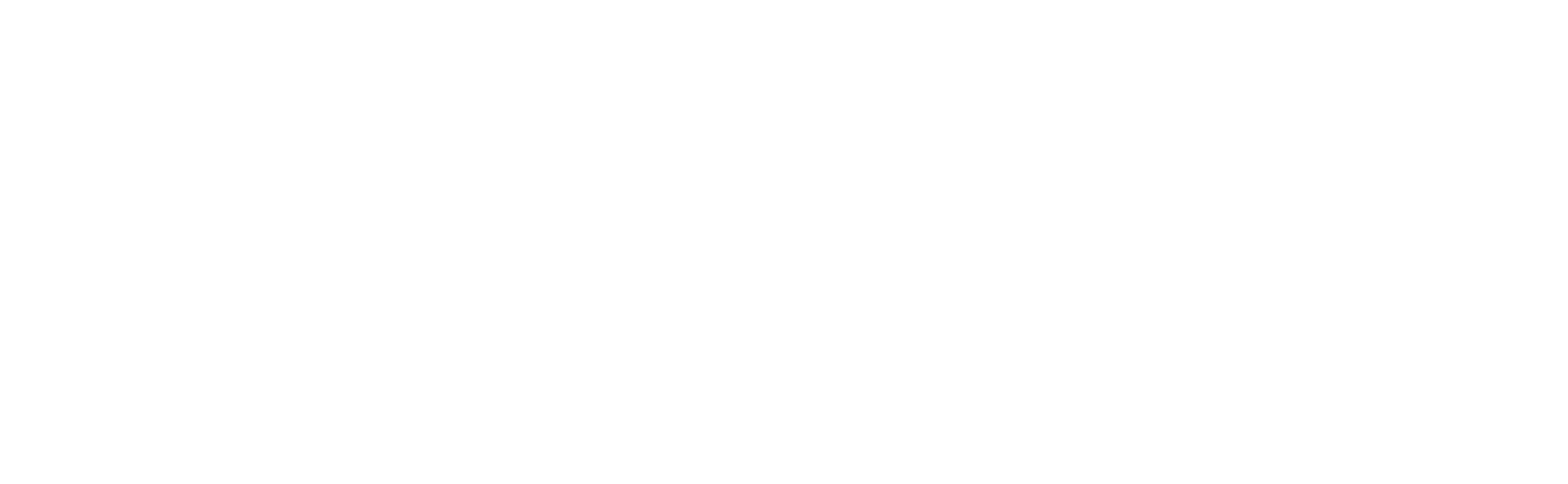 WingSwept_Logo_Tagline_white