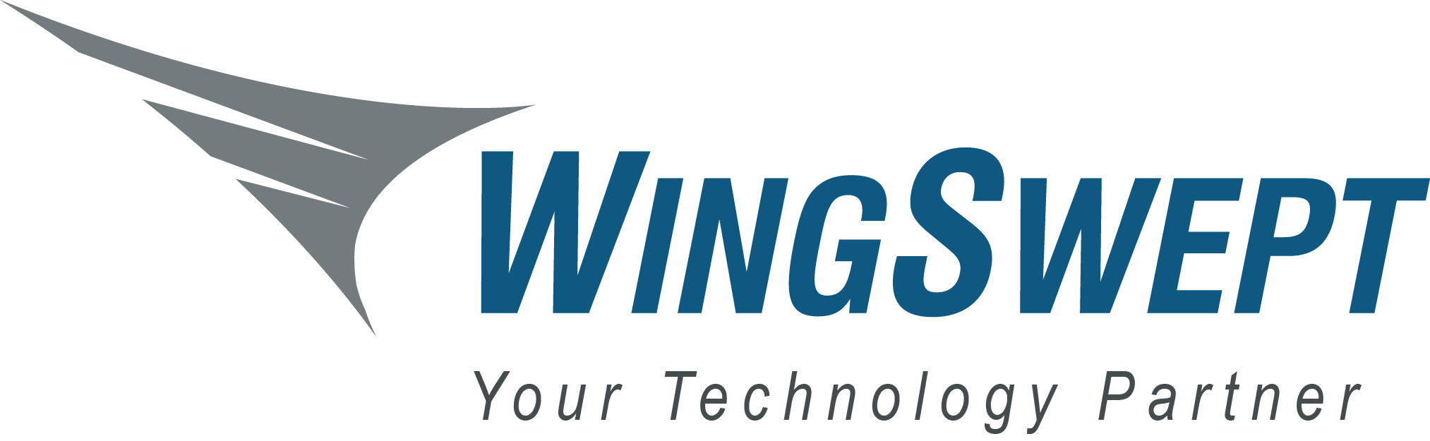 ws_logo_partner (1)